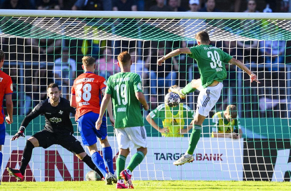 专家们对 专家们对